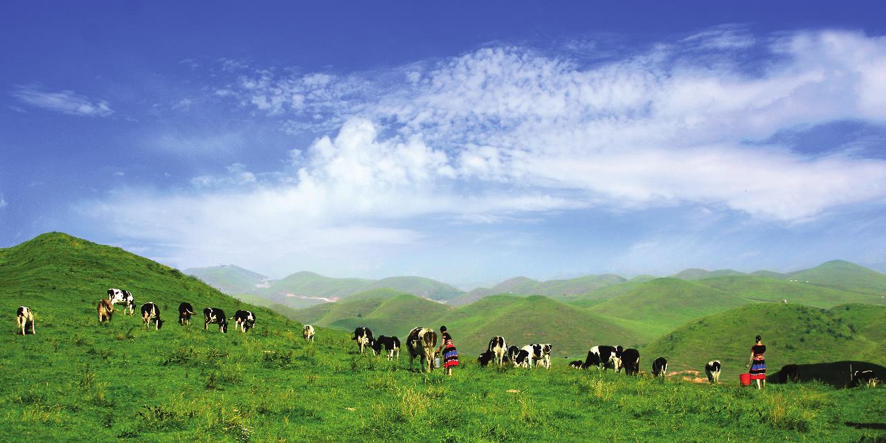 一步之城，萬(wàn)種風(fēng)情 ——《城步苗族自治縣旅游產(chǎn)業(yè)發(fā)展總體規(guī)劃及重點(diǎn)景區(qū)概念性規(guī)劃》