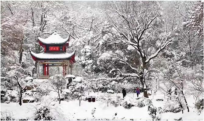 萬里長空飛瑞雪 ——遠景智庫2019新年賀詞